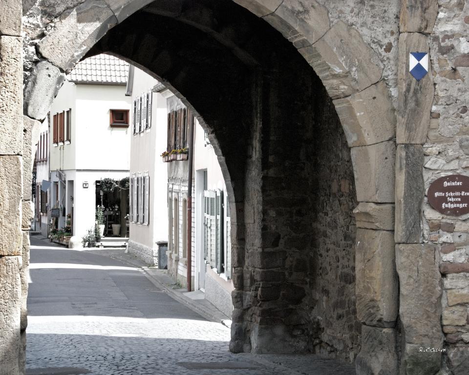 Baerengasse Apartments Freinsheim Luaran gambar